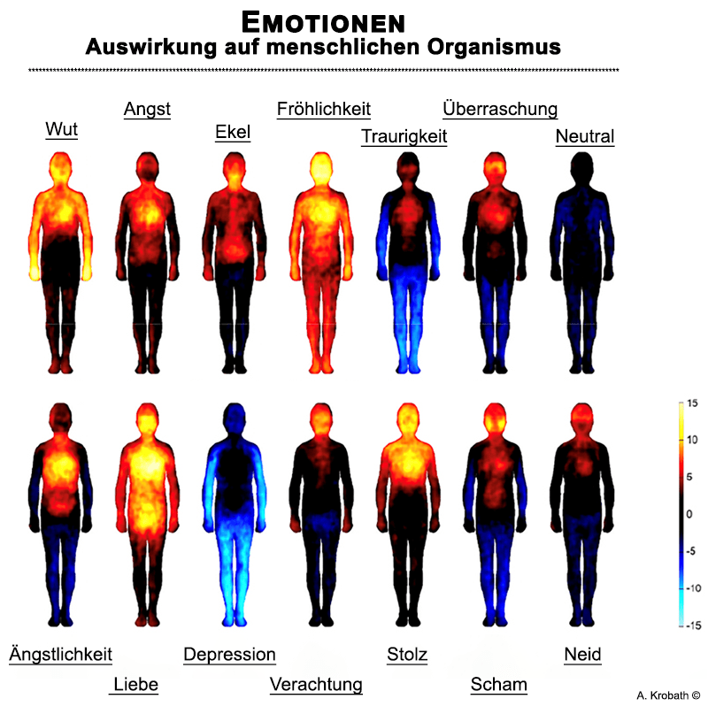 Emotionen Auswirkung auf Körper - Grafik 